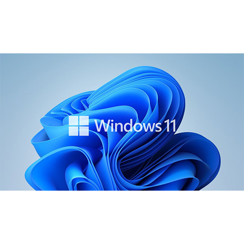 MICROSOFT WINDOWS 11 PRO TRK 64 BİT OEM FQC-10556