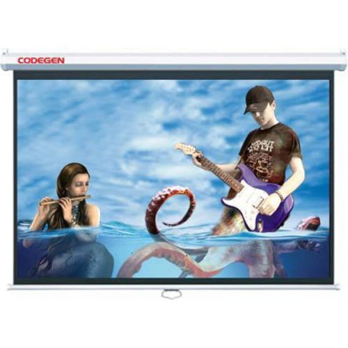 260 CODEGEN COD-AX18 180X180 PROJEKSİYON PERDESİ STORLU